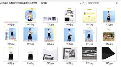 高效管理有貨商品圖片 分類下載與計(jì)算機(jī)軟硬件開(kāi)發(fā)策略